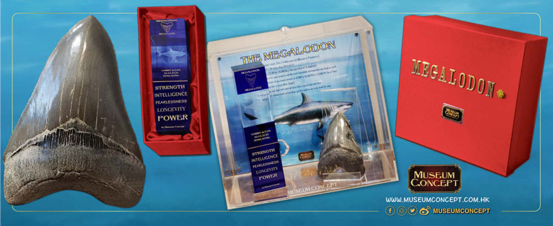 Nov19_Incredible-Boxes_Meg_1