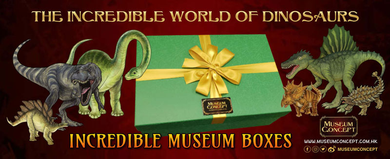 Nov19_Incredible-Museum-Boxes_1